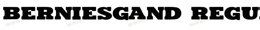 berniesgand regular字体转换